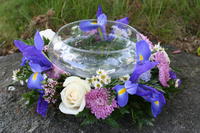 boi_2006b-pic-022