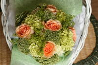 boi_2006b-pic-083