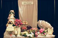 bells-of-ireland_flowers-11