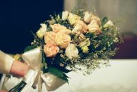 bells-of-ireland_flowers-6