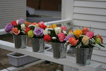 boi_2006b-pic-003