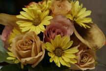 boi_2006b-pic-008