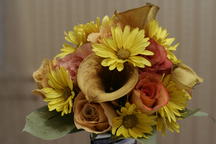 boi_2006b-pic-009