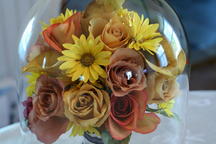 boi_2006b-pic-012