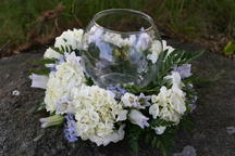 boi_2006b-pic-015
