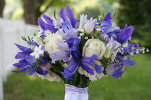 boi_2006b-pic-019