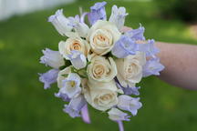 boi_2006b-pic-031