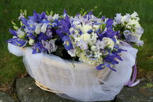 boi_2006b-pic-032