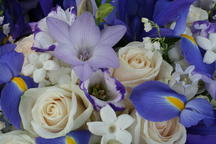 boi_2006b-pic-039