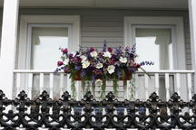 boi_2006b-pic-115