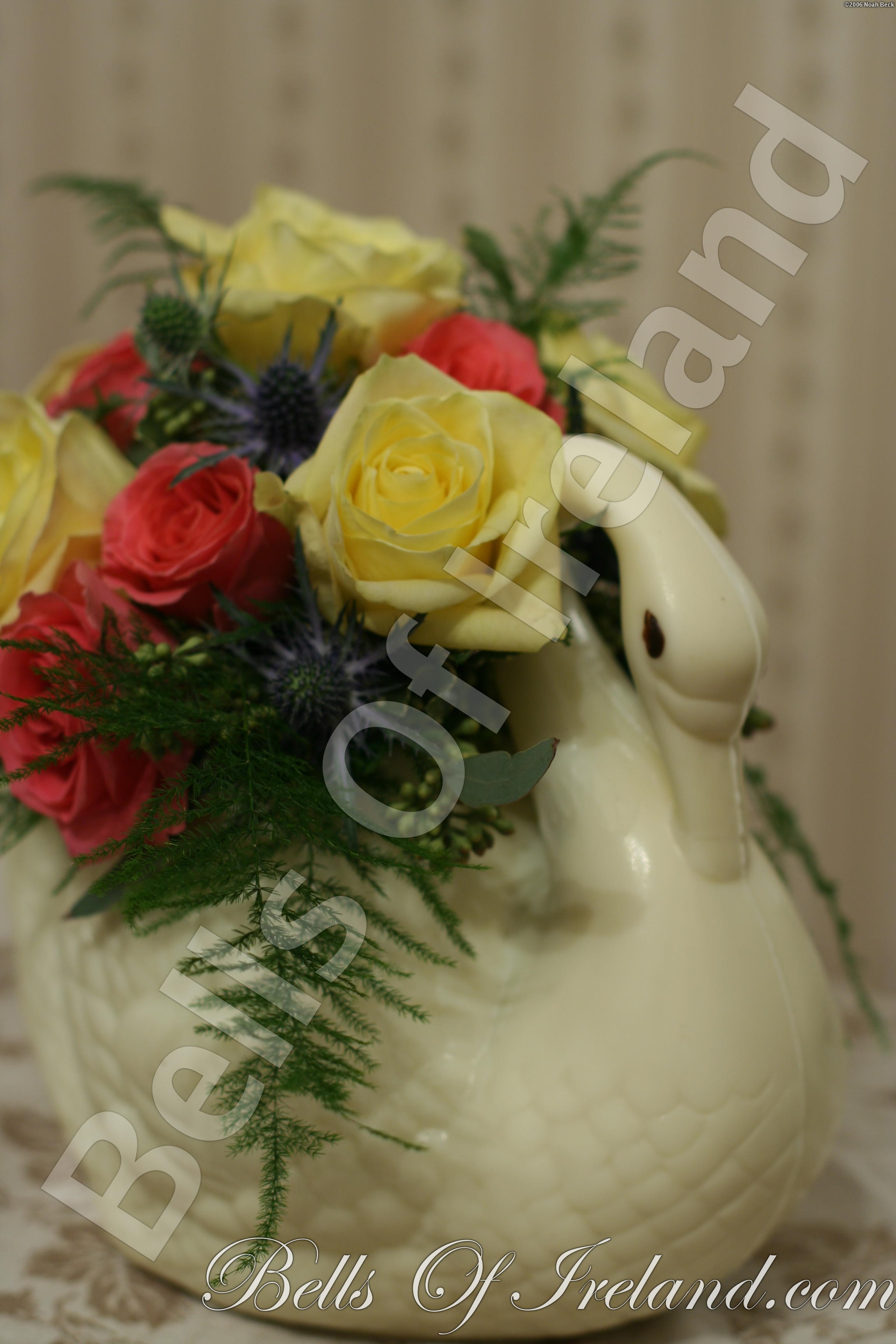 boi_2006-pic-012