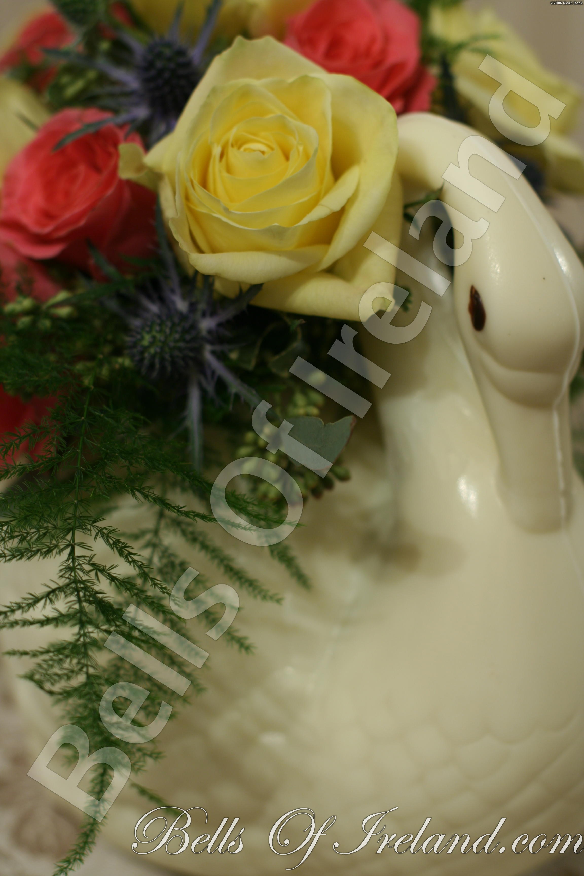 boi_2006-pic-013