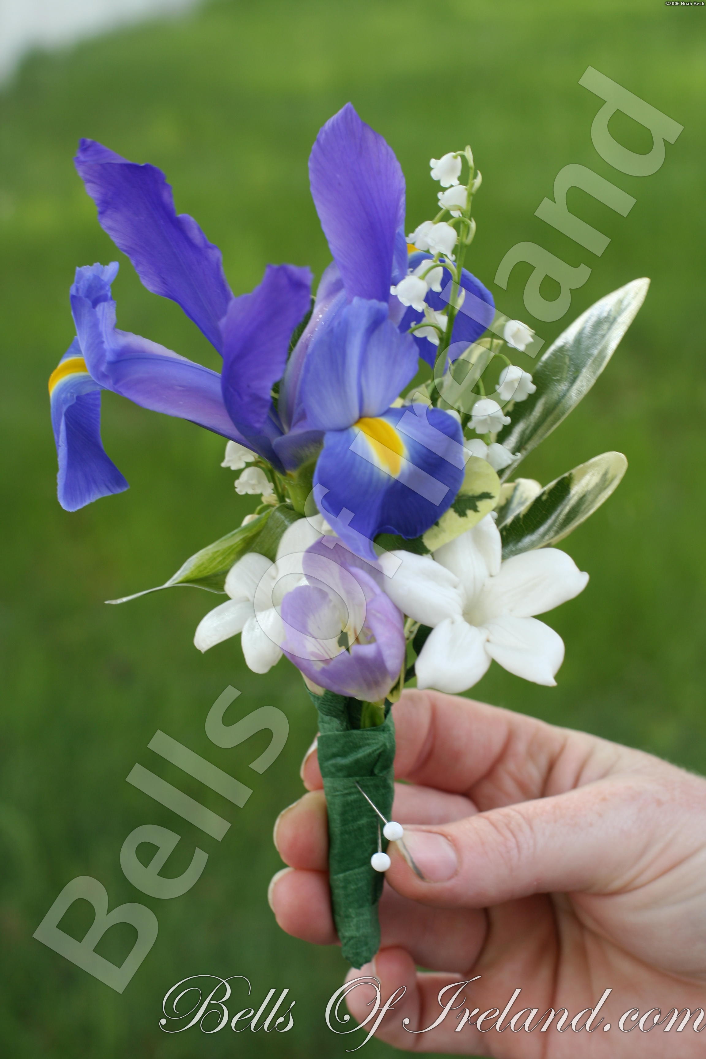 boi_2006b-pic-034