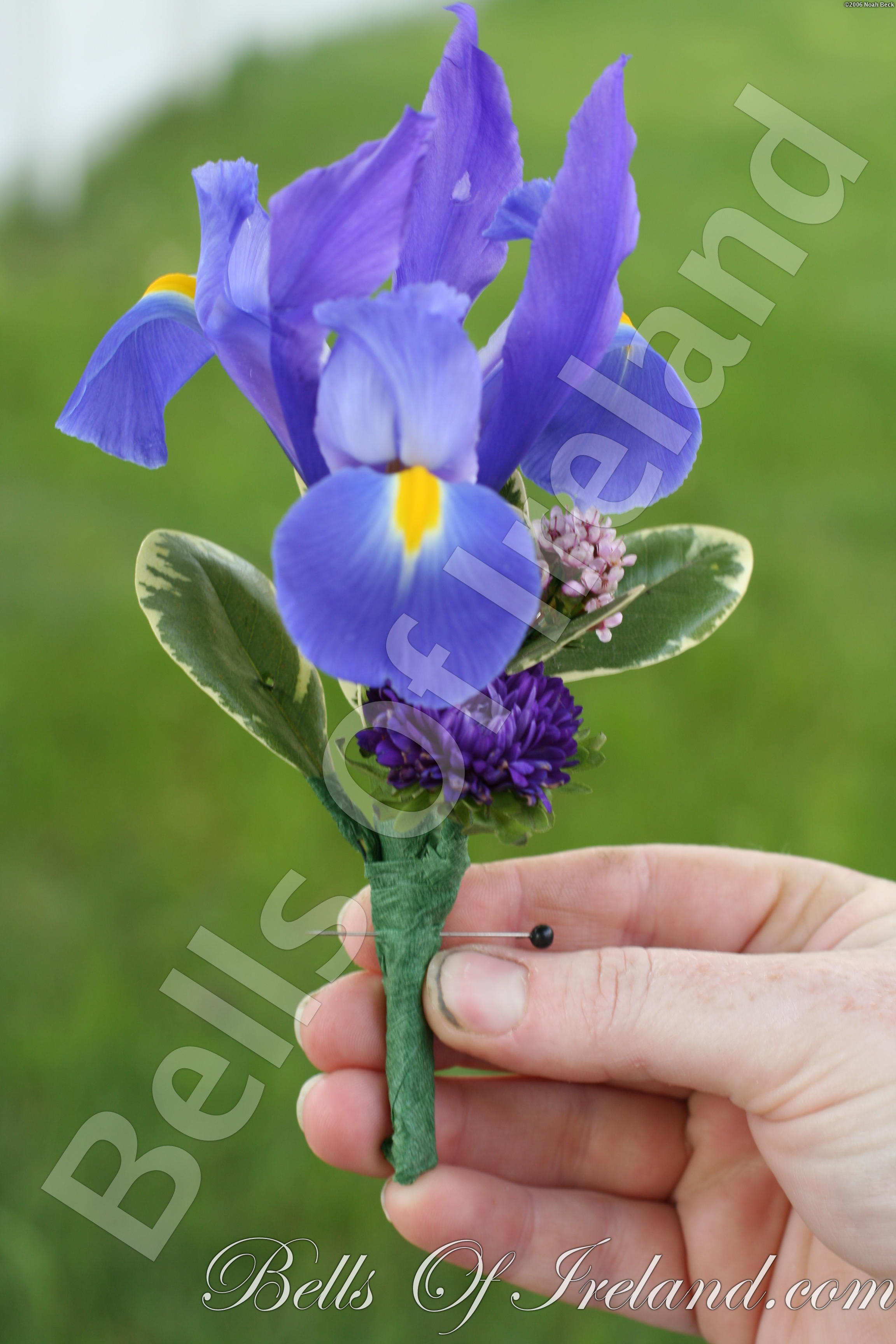 boi_2006b-pic-035