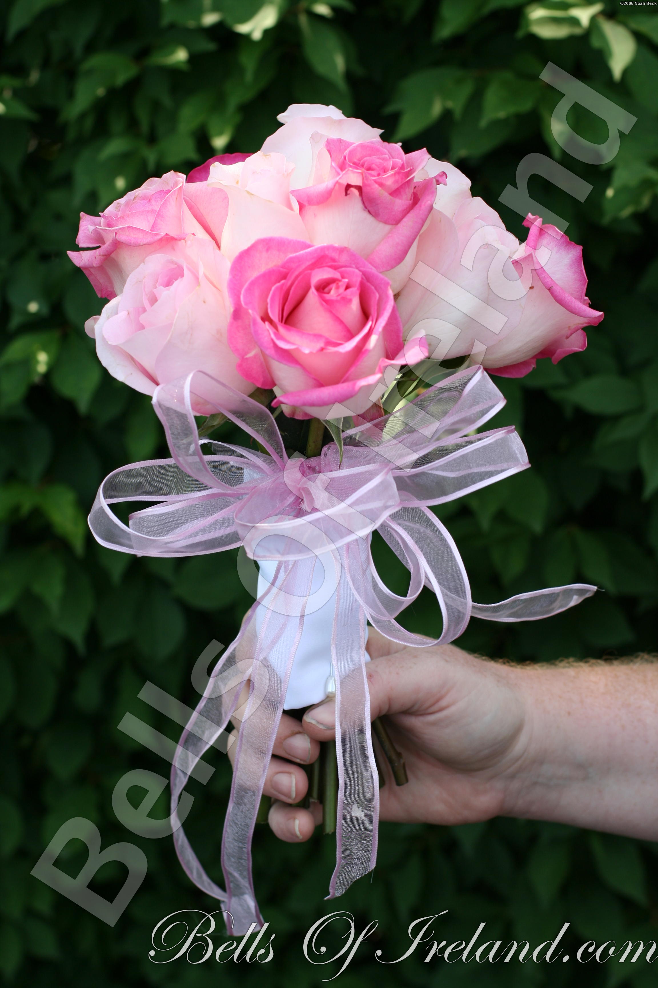 boi_2006b-pic-064
