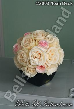 bells-of-ireland-woburn_flowers-14