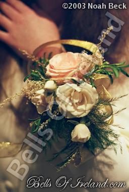 bells-of-ireland_flowers-10