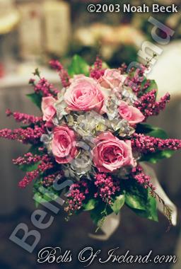 bells-of-ireland_flowers-7