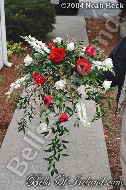 boi-fall04_pic-26
