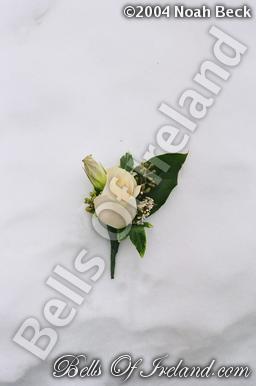 boi_misc-arrangements-22
