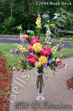 boi_sprsum04-pic061