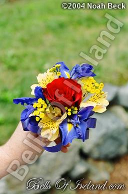 boi_sprsum04-pic064