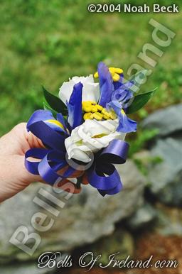 boi_sprsum04-pic065