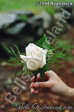 boi_sprsum04-pic096