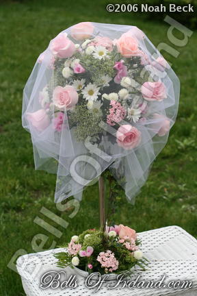 boi_2006b-pic-050