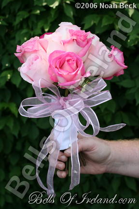 boi_2006b-pic-064