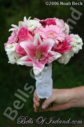 boi_2006b-pic-106