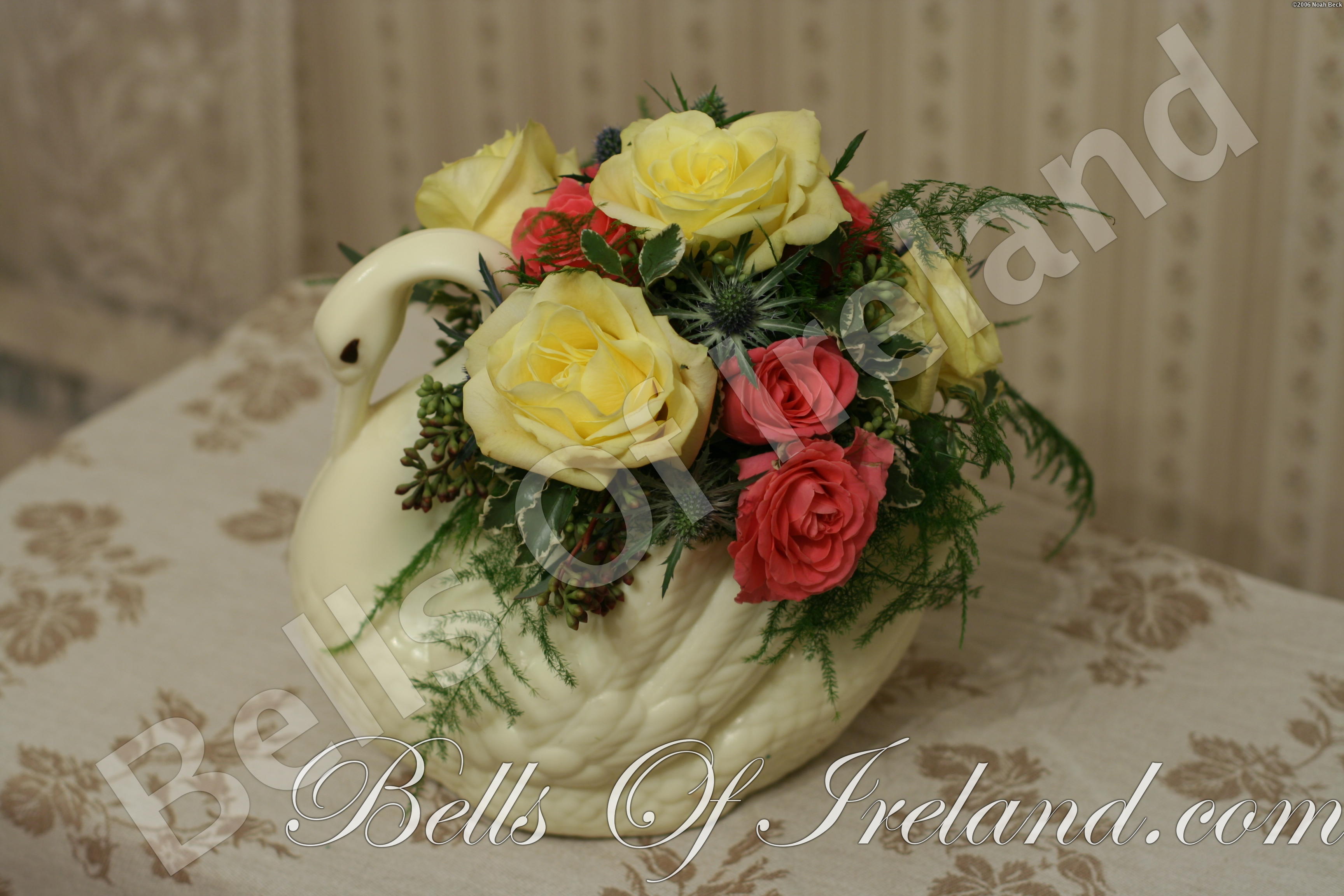 boi_2006-pic-008