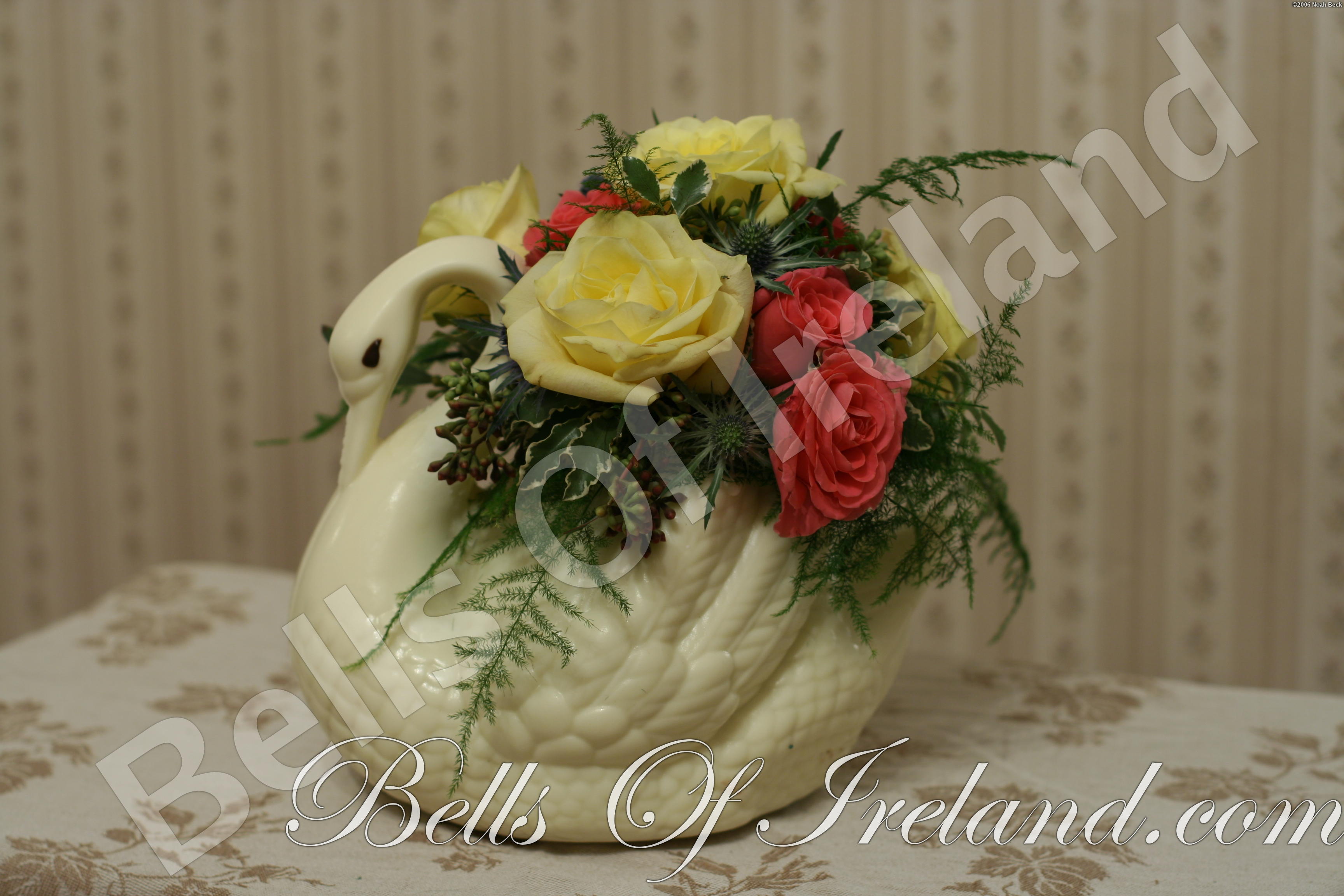 boi_2006-pic-009