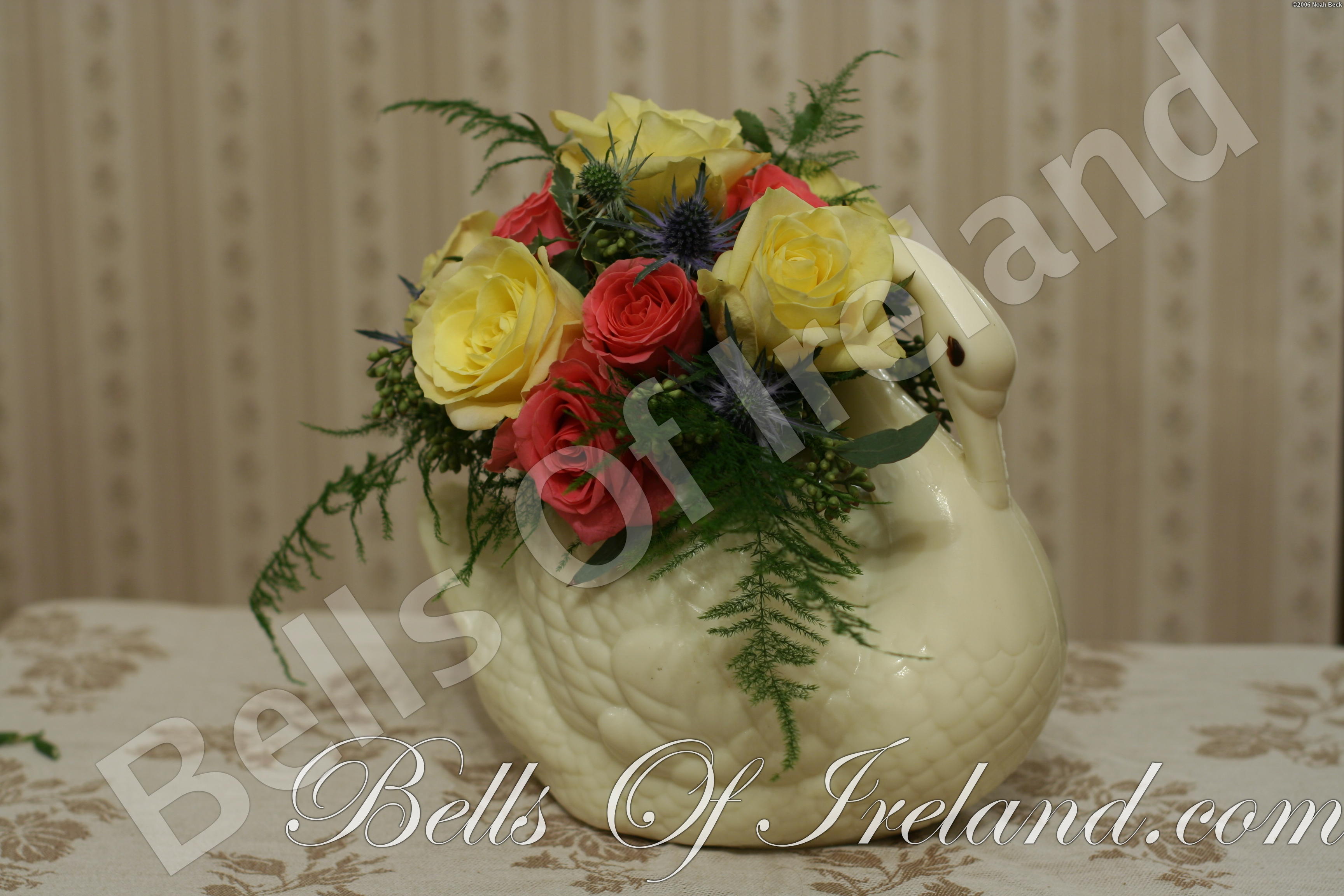 boi_2006-pic-011