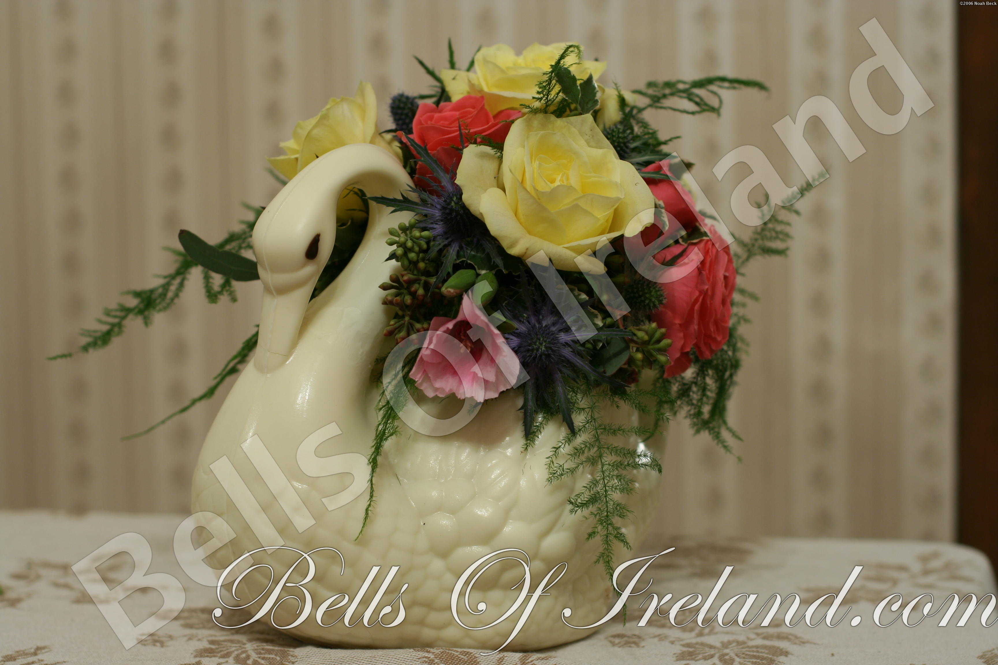 boi_2006-pic-017