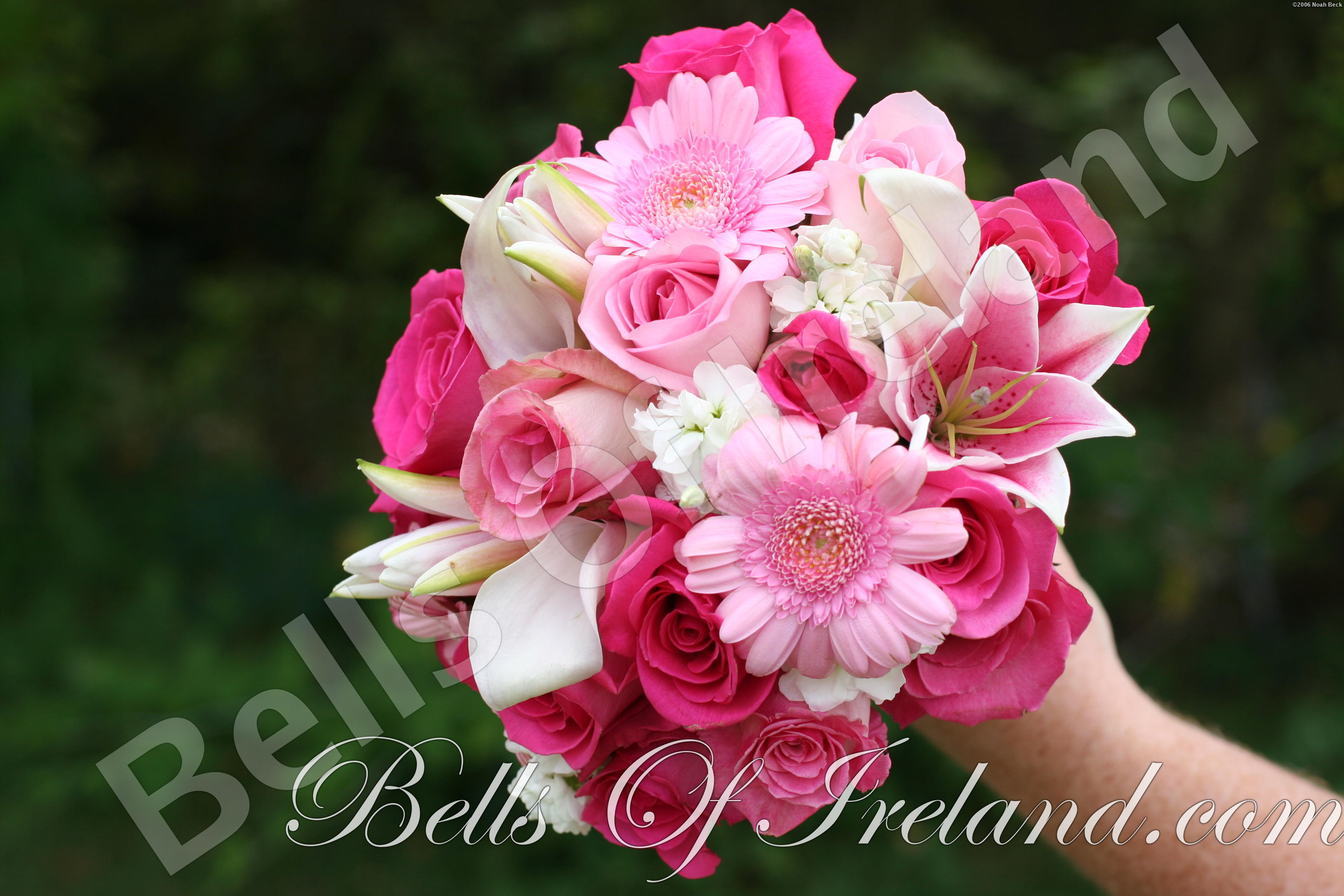boi_2006b-pic-108