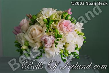 bells-of-ireland-woburn_flowers-11