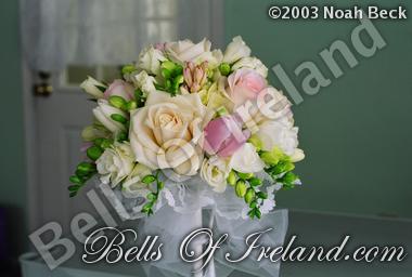 bells-of-ireland-woburn_flowers-12