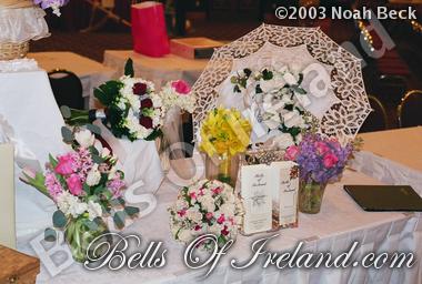 bells-of-ireland-woburn_show-1