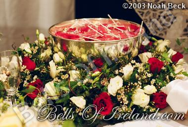 bells-of-ireland_flowers-15