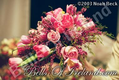 bells-of-ireland_flowers-2