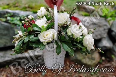 boi-fall04_pic-17