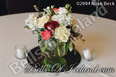 boi-fall04_pic-31