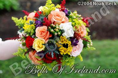 boi-fall04_pic-34