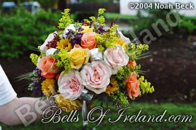 boi-fall04_pic-36