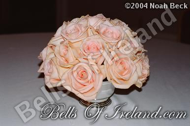 boi-fall04_pic-45