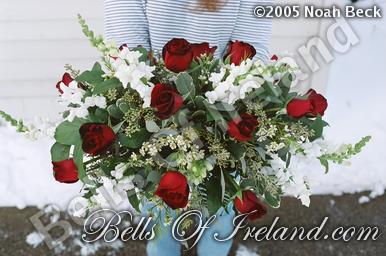 boi-late04-1half05_pic-007