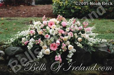 boi-late04-1half05_pic-008