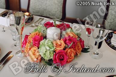 boi-mid05_pic-013
