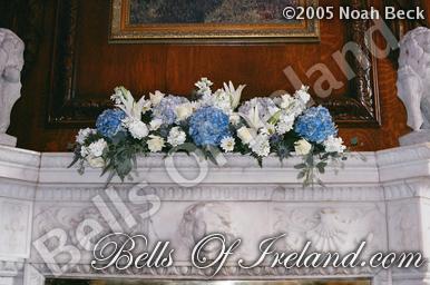 boi-mid05_pic-022